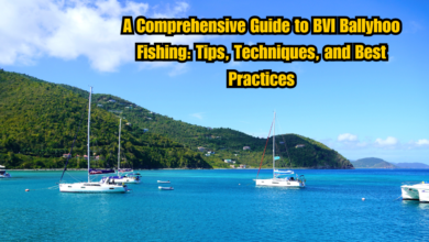 A Comprehensive Guide to BVI Ballyhoo Fishing: Tips, Techniques, and Best Practices