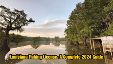 Louisiana Fishing License: A Complete 2024 Guide