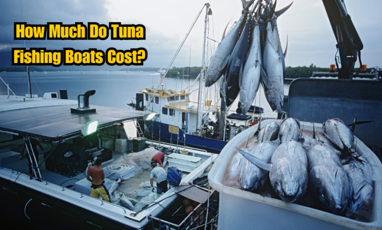 How Much Do Tuna Fishing Boats Cost?