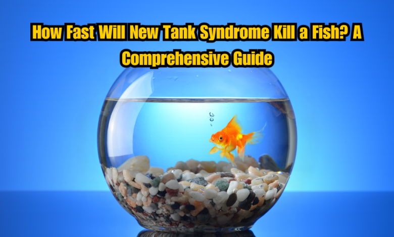 How Fast Will New Tank Syndrome Kill a Fish? A Comprehensive Guide