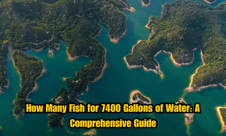 How Many Fish for 7400 Gallons of Water: A Comprehensive Guide